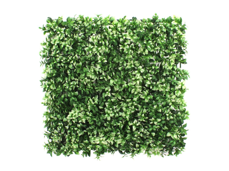 Evergreenly
