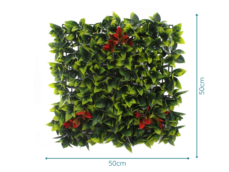 Russet Bloom with measurements