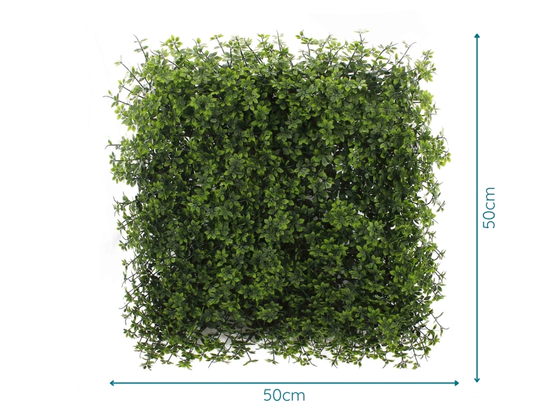 Verdant Sage with measurements