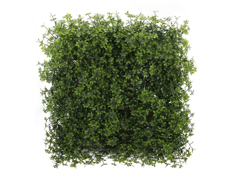 Verdant Sage