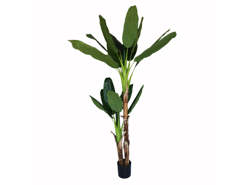 Artificial Banana Tree 200cm (TZ23110686)