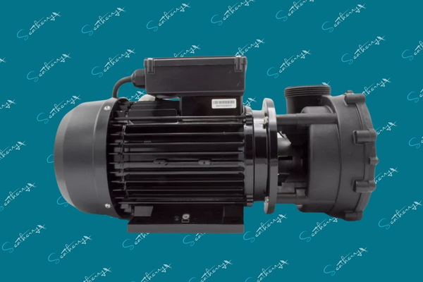 LX WP200-II Pump (2)